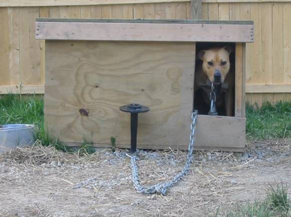 Тёплая будка с тамбуром для собаки